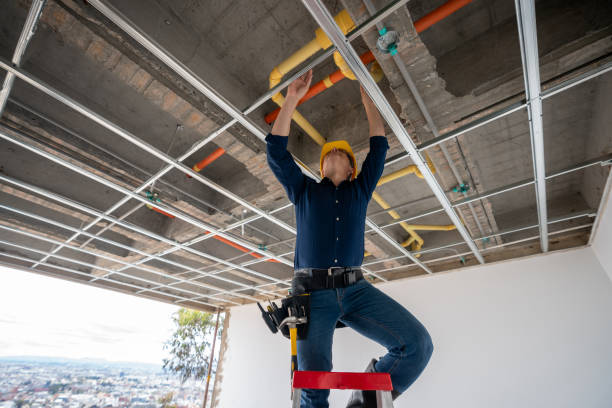 Best Residential Plumbing Services  in Lakewood, CO