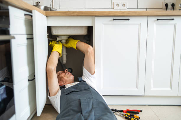 Best Plumbing Repair Near Me  in Lakewood, CO